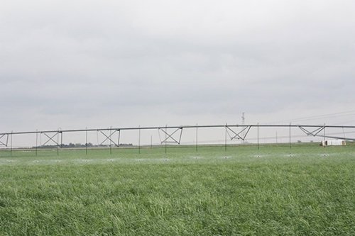 Property photo 94 - LAND AUCTION, 3255+/- Acres offered in 13 Tracts